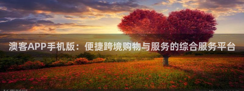 澳客APP手机版：便捷跨境购物与服务的综合服务平台