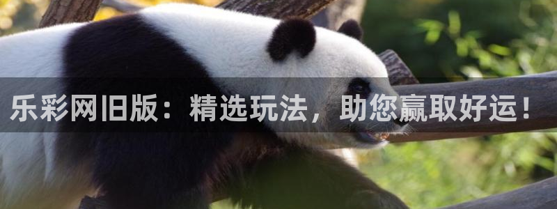 聚彩传媒：乐彩网旧版：精选玩法，助您赢取好运！