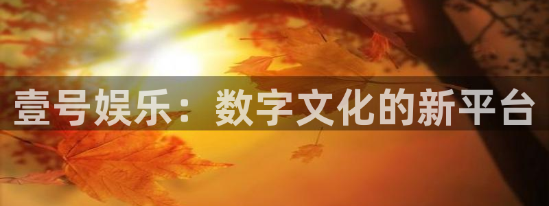 聚彩堂澳门com：壹号娱乐：数字文化的新平台
