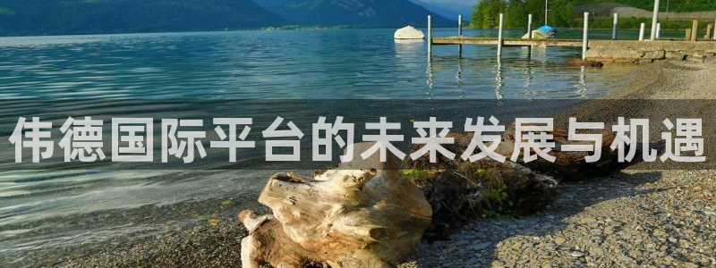 聚彩welcome大厅购彩：伟德国际平台的未来发展与机遇