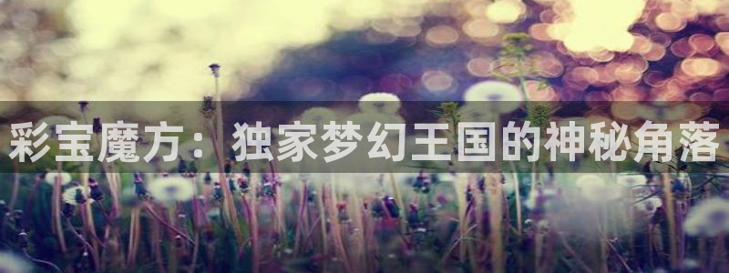 聚彩国际沙发：彩宝魔方：独家梦幻王国的神秘角落