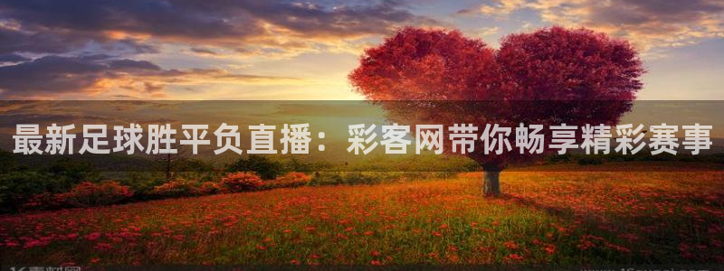 大发聚彩welcome：最新足球胜平负直播：彩客网带你畅享精彩赛事