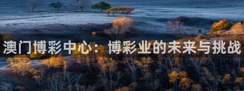 飞星聚彩：澳门博彩中心：博彩业的未来与挑战