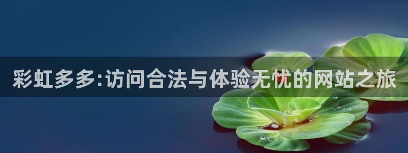 聚彩堂免费资料大全：彩虹多多:访问合法与体验无忧的网站之旅