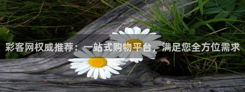 新南聚彩荟购物中心：彩客网权威推荐：一站式购物平台，满足您全方位需求